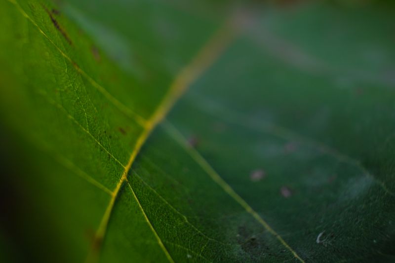 DSCF3965.jpg
