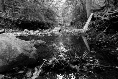 g13/56/600556/3/174926873.788d5619.JPEG