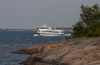 Birding hot spots in the Swedish archipelago