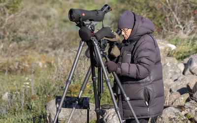 Birders in action