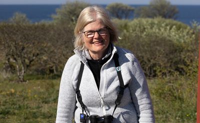 Kerstin Ulfendahl 