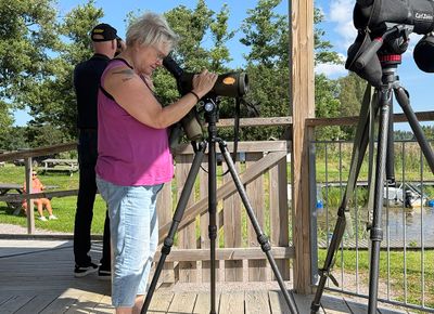 Birders in action