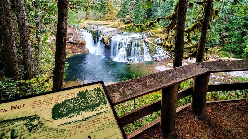 Lower Lewis River Falls