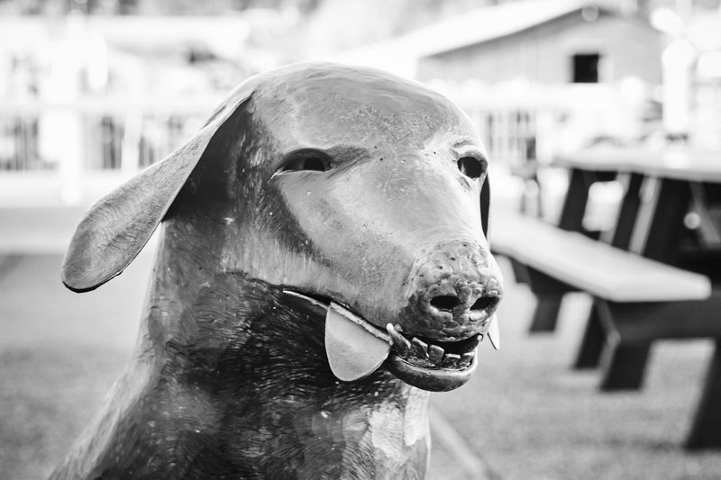 Dirty Biter the Dog Statue