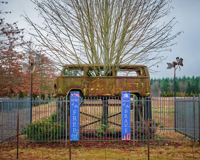 Hippie Bus Tree Shrine