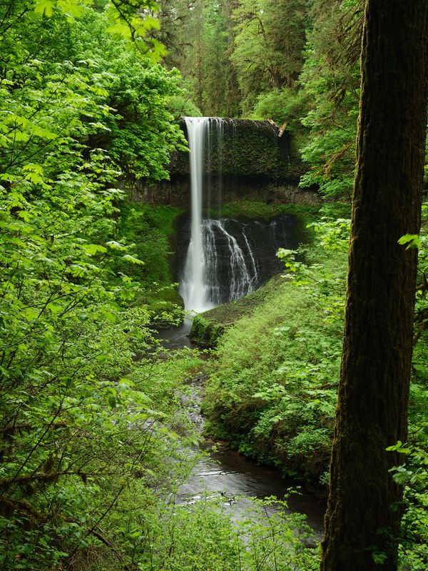Silver Falls - Trail of Ten Falls