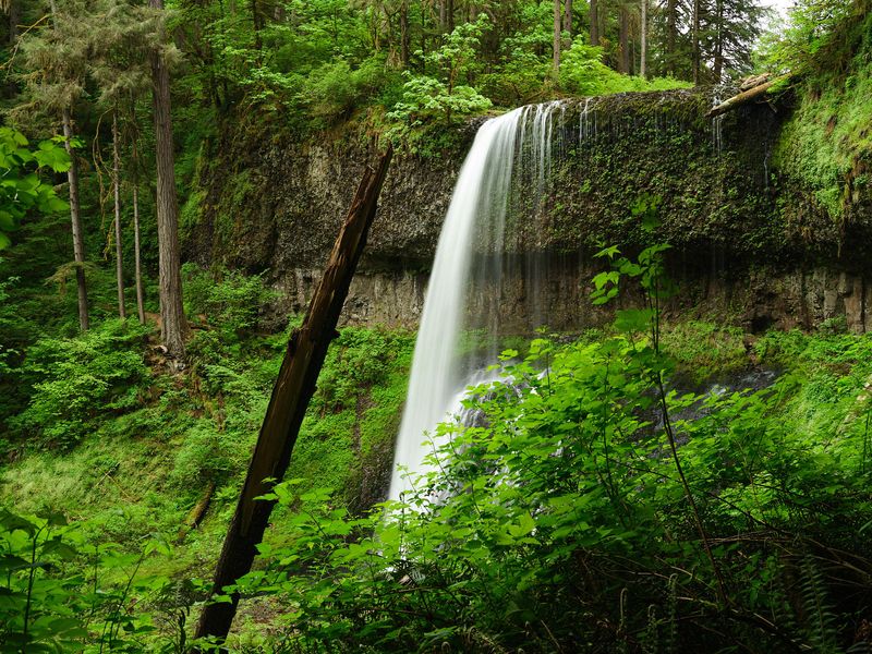 Silver Falls - Trail of Ten Falls