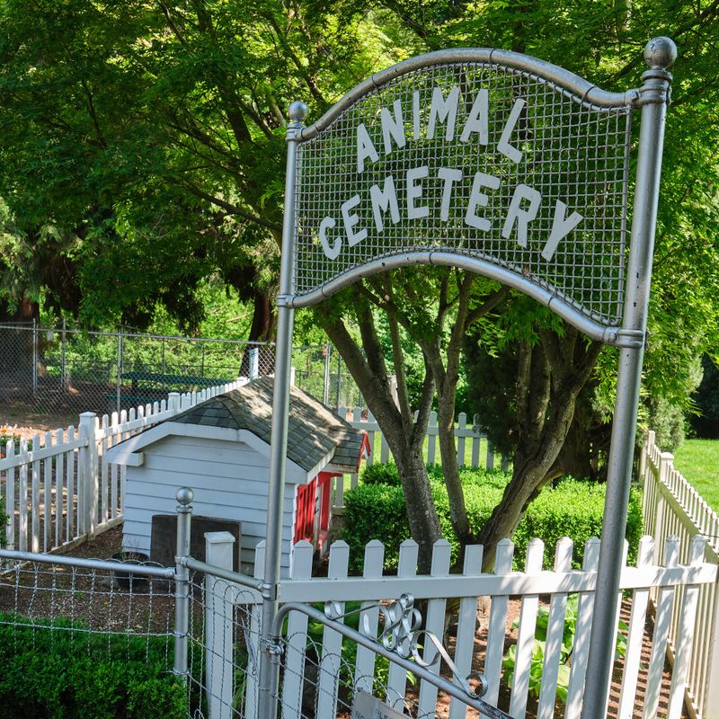 Bobbie the Wonder Dogs Grave