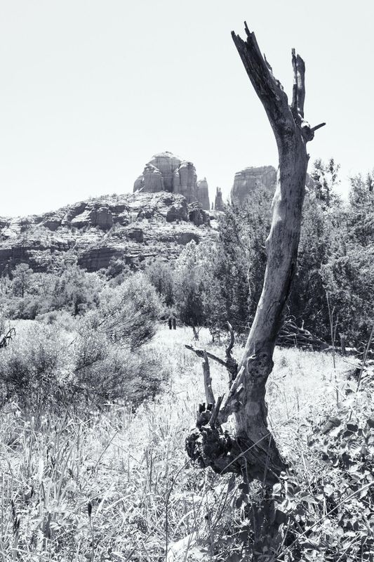 Sedona, AZ 2023
