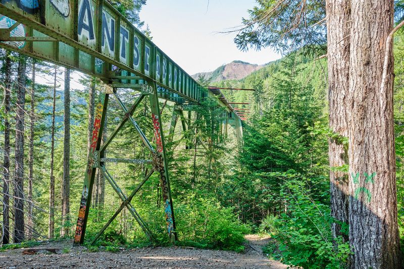 Vance Creek Bridge