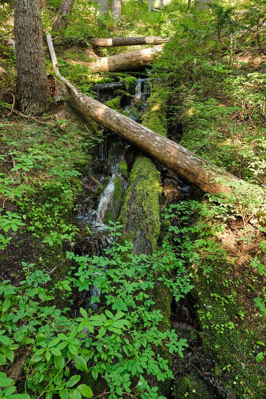 Owyhigh Lakes