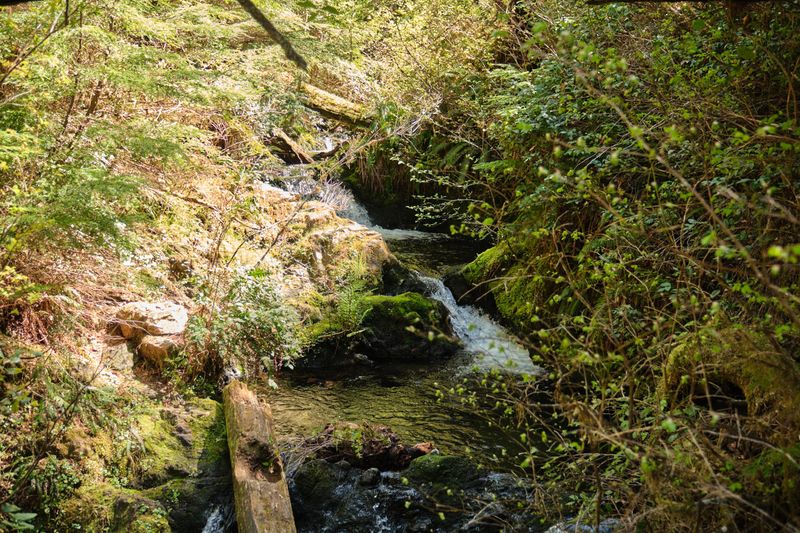 Cascade Falls