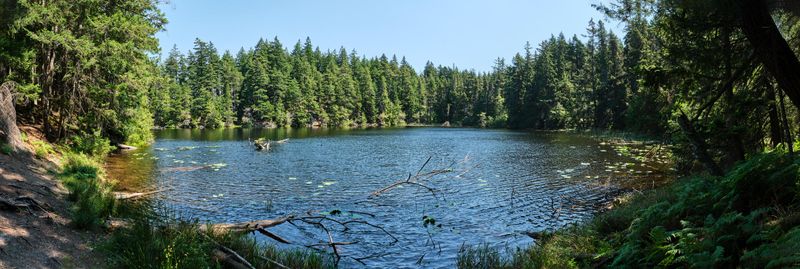 Moran State Park