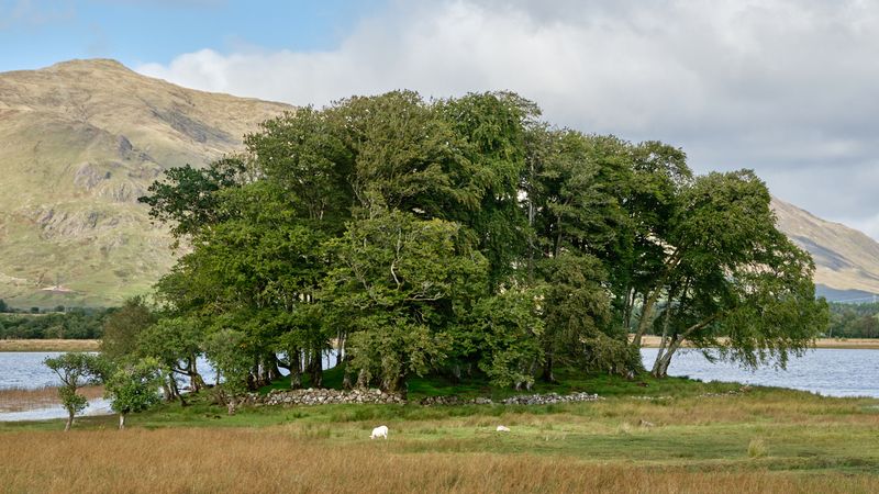 Kilchurn Castle