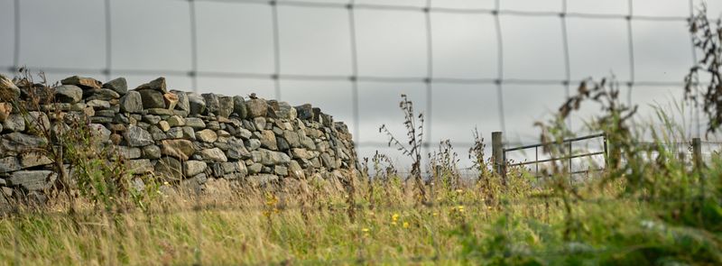 Gearrannan Blackhouse Village