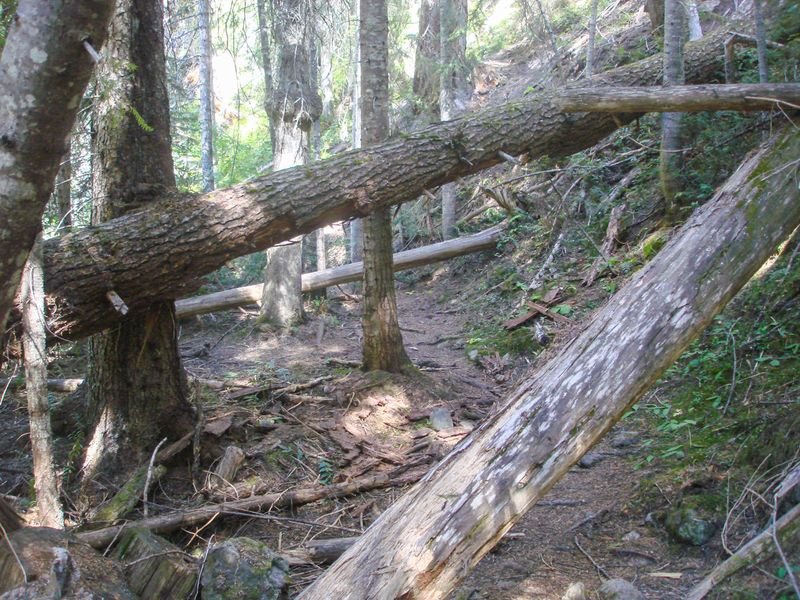 Union Creek Falls