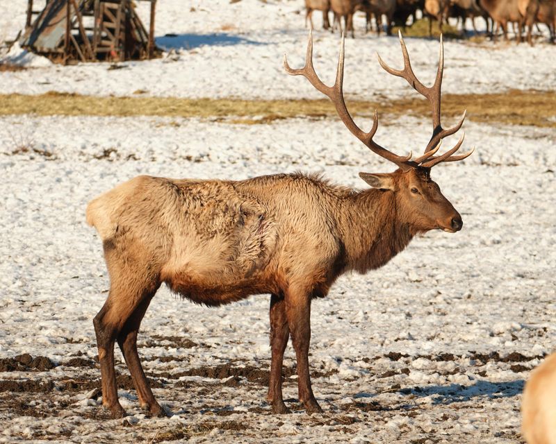 Oak Creek Wildlife Area