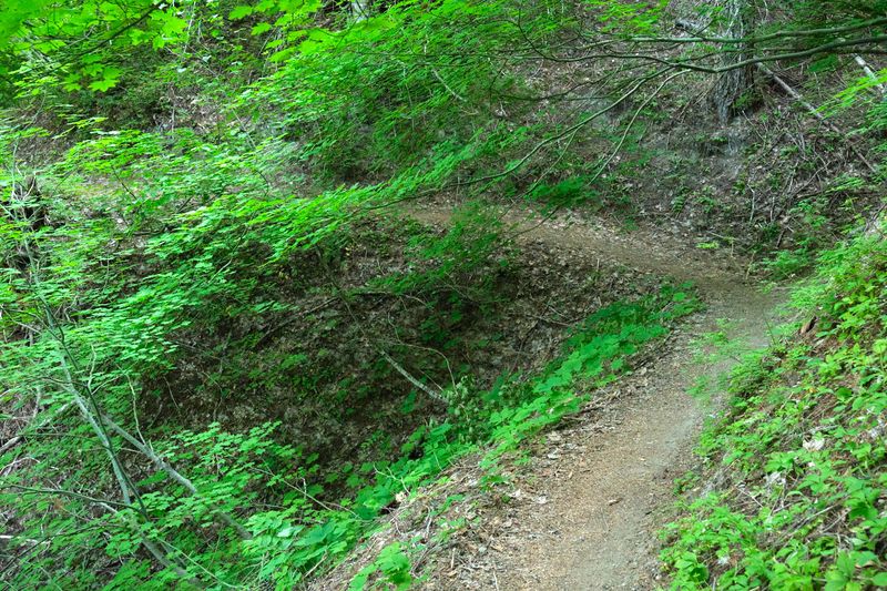 Ape Canyon