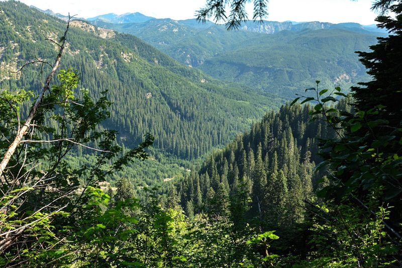 Ape Canyon