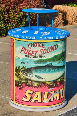 Salmon Trash Cans