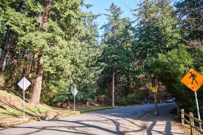 Mt. Tabor - Volcano in City Limits
