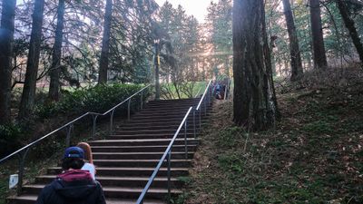 Mt. Tabor - Volcano in City Limits