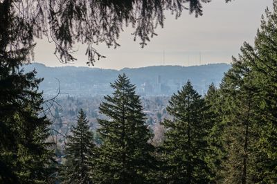 g13/56/781656/3/173394606.f546e514.JPEG