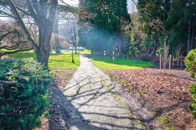 Cathedral Park