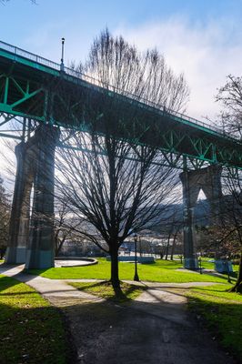 Cathedral Park