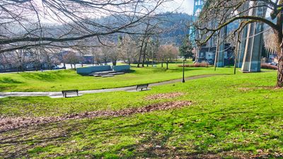 Cathedral Park
