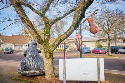 Big Possum