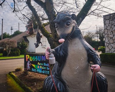 Big Possum