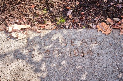 Corvallis Sidewalk Stamps