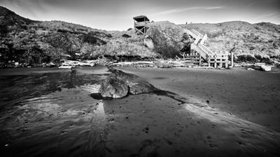 Bandon Beach