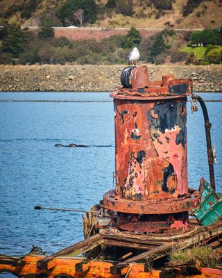 Wreck of the Mary D. Hume