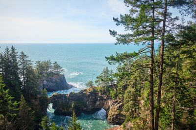 Natural Bridges