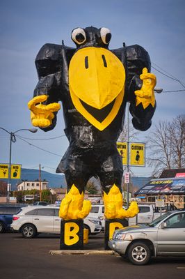 Big Goofy Black Bird