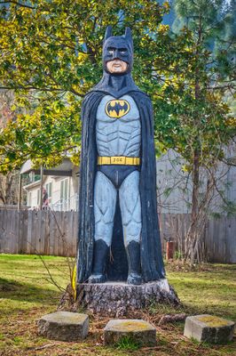 Batman, Formerly a Tree