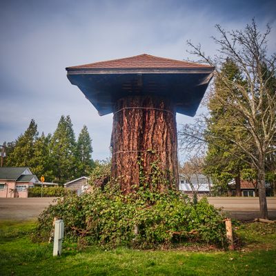 Stump with a Roof