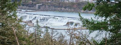 Willamette Falls