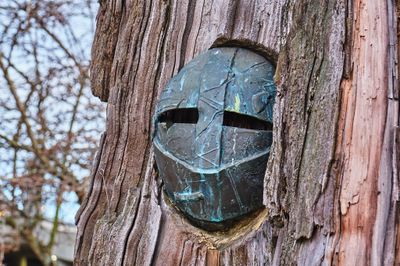 Carved Tree Faces
