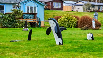 Killer Whale Lawn Pod