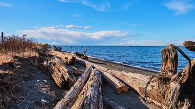 Dungeness Spit