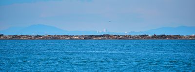 Dungeness Spit