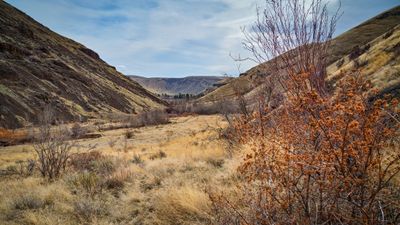 Umtanum Creek Canyon