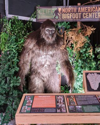 North American Bigfoot Center