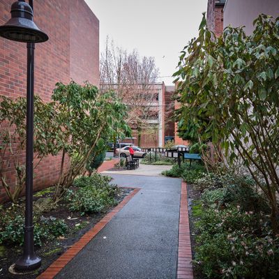 John Callahan Memorial Garden