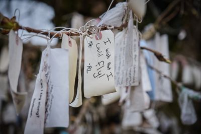 Wishing Tree