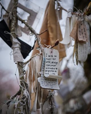 Wishing Tree