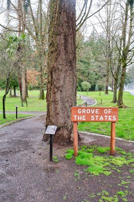 Grove of the States